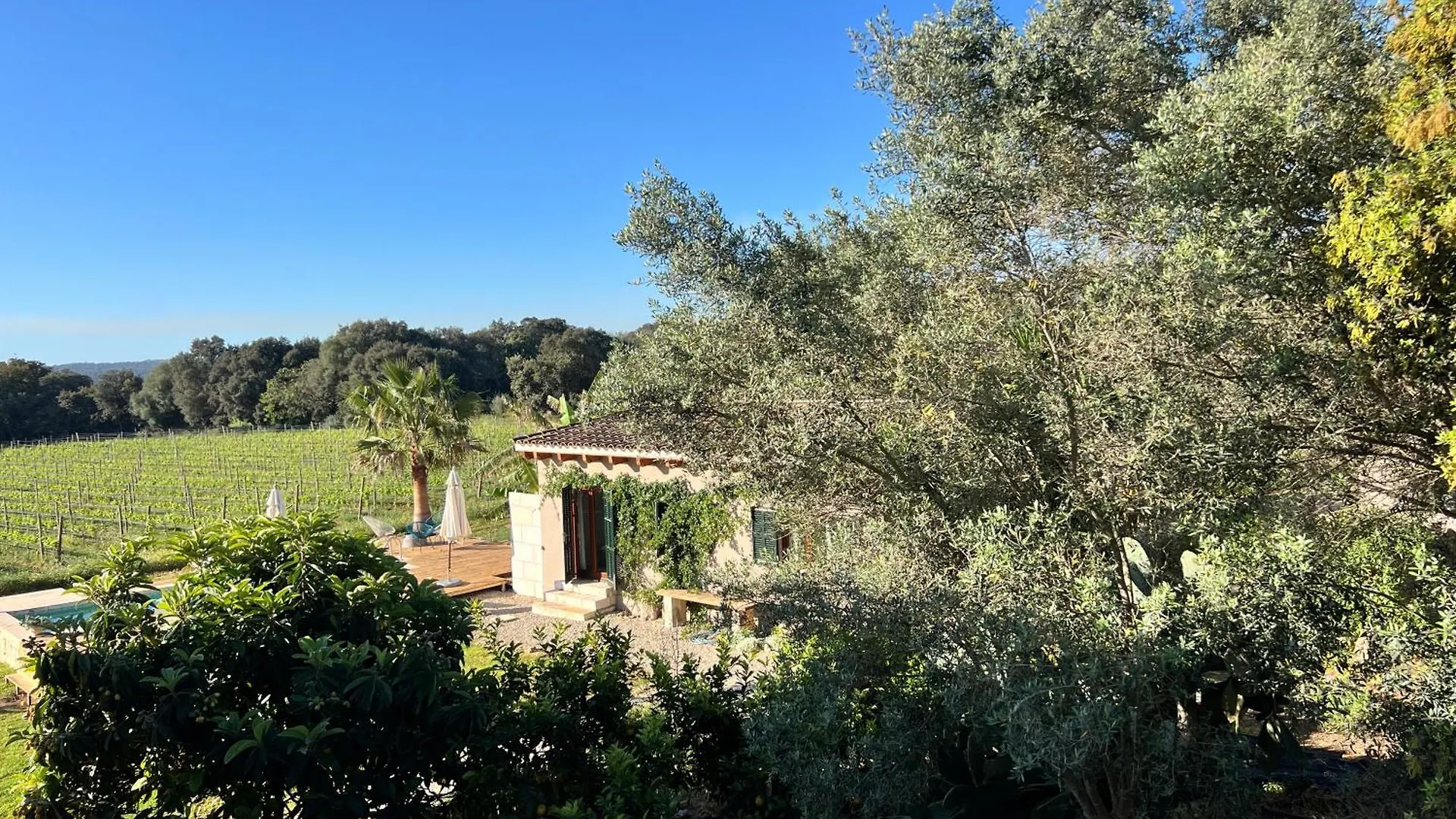 Los Dos Caballeros Winery & Vacation Rental 루비 0*,  스페인