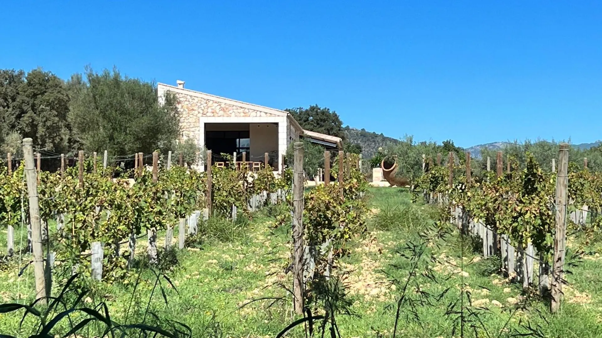 Los Dos Caballeros Winery & Vacation Rental Llubí
